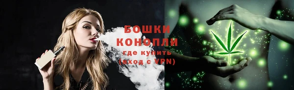 стафф Богданович