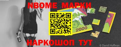 соль ск Новозыбков
