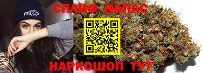 соль ск Новозыбков