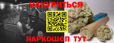 соль ск Новозыбков