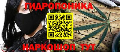 соль ск Новозыбков