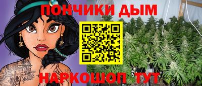 соль ск Новозыбков