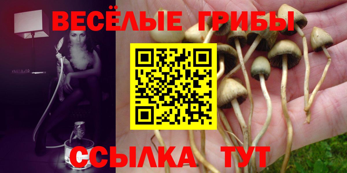 Псилоцибиновые грибы MAGIC MUSHROOMS  Вход с VPN  Псилоцибиновые грибы мухоморы  Обь 